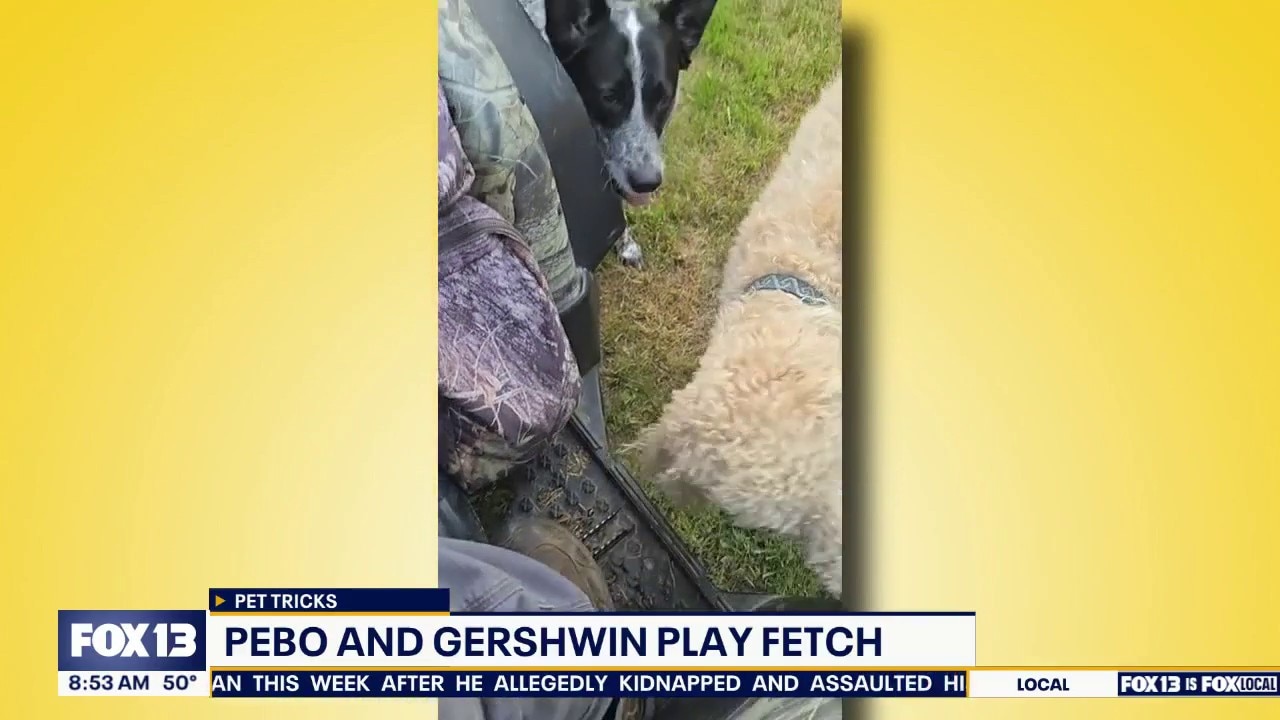 Pet Tricks for Friday, May 8