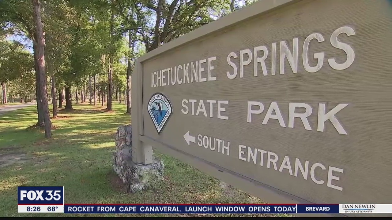 David Does It: Local Parks