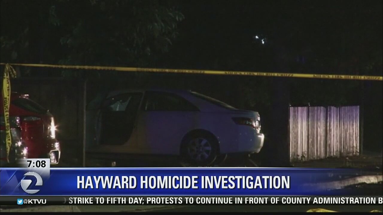 Hayward homicide investigation