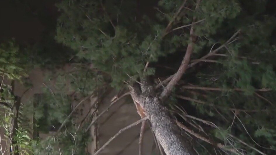 Arizona cleaning up from winter storm damage
