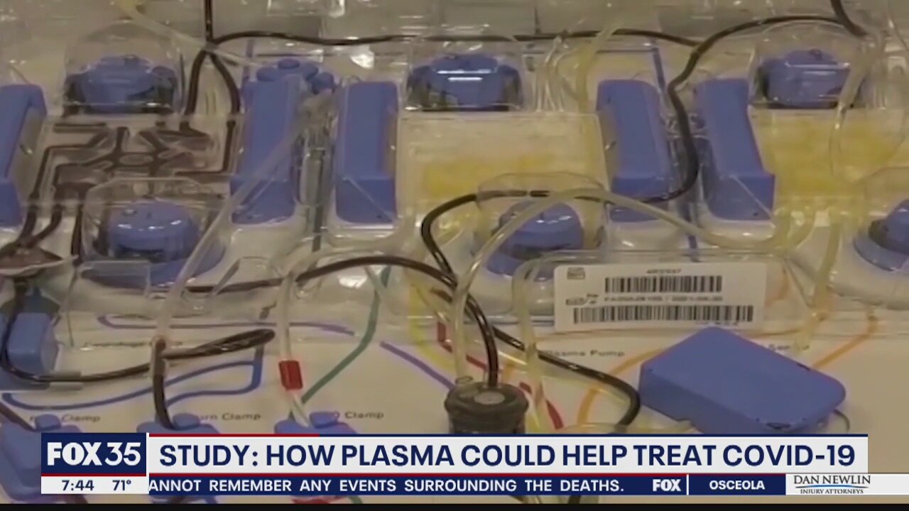 Search for Solutions: How plasma could help treat COVID-19