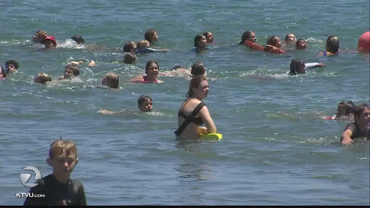 Several sharks seen close Santa Cruz coastline