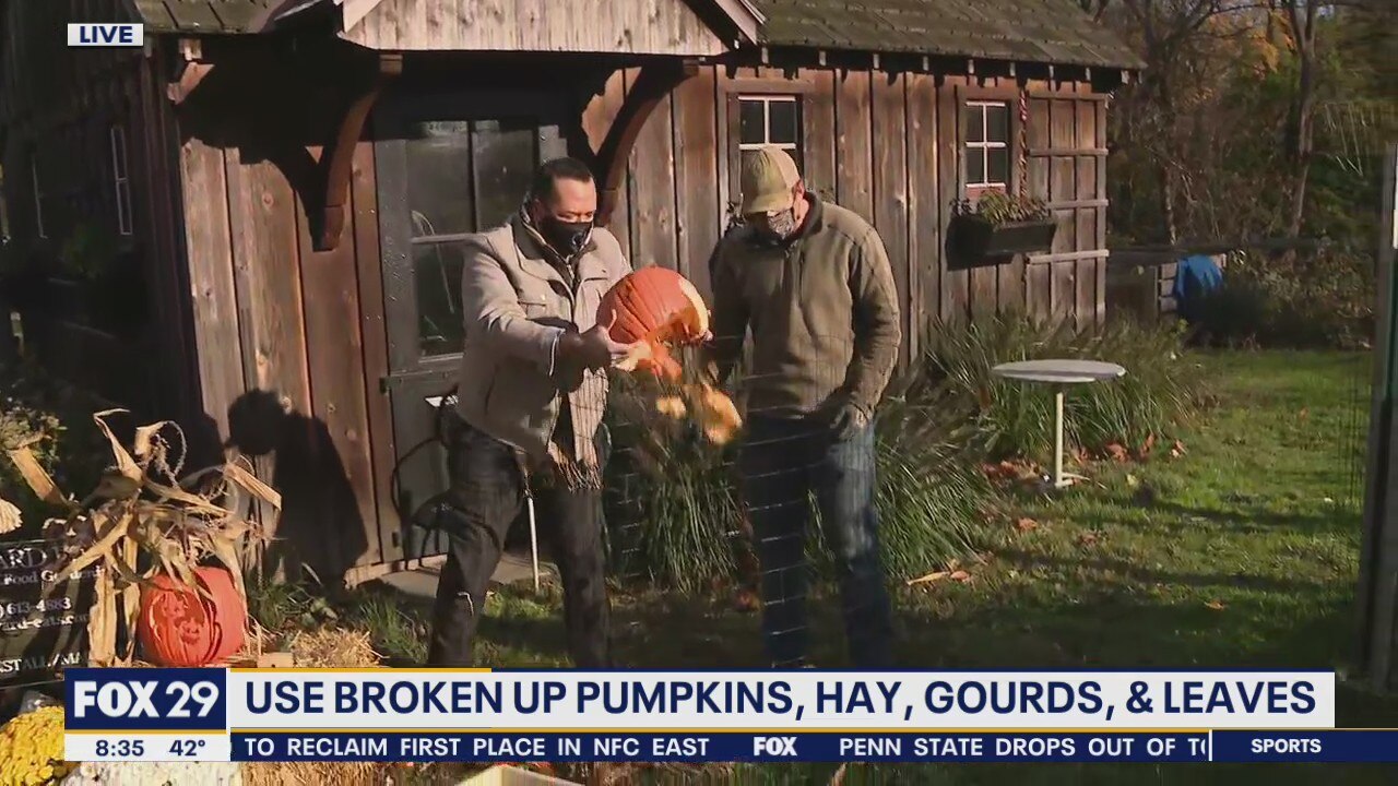 Instead of throwing out your pumpkins, try composting them