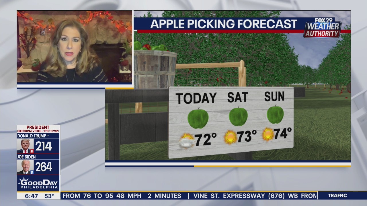 Weather Authority: Sunny, mild Friday kicks off gorgeous weekend