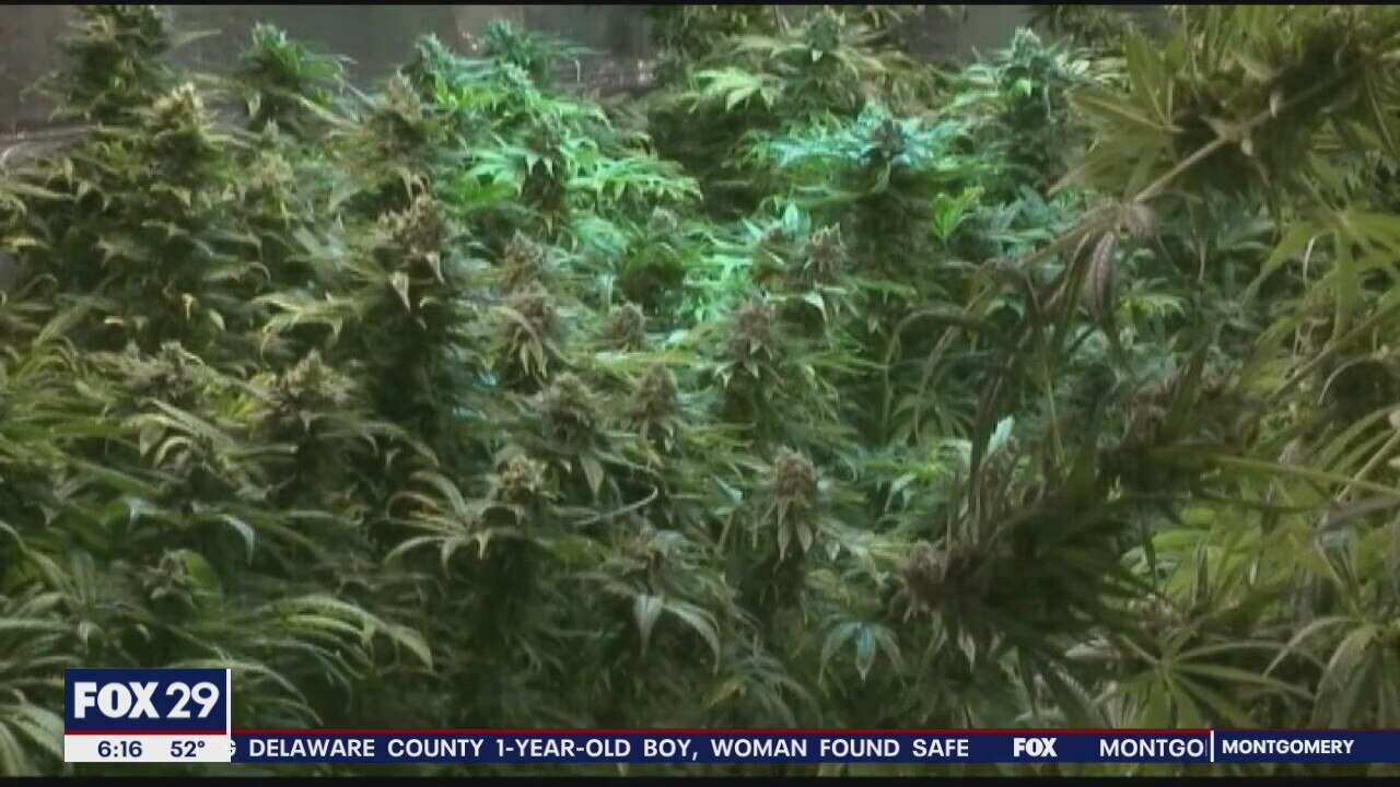 Trenton residents speak on marijuana legalization in New Jersey