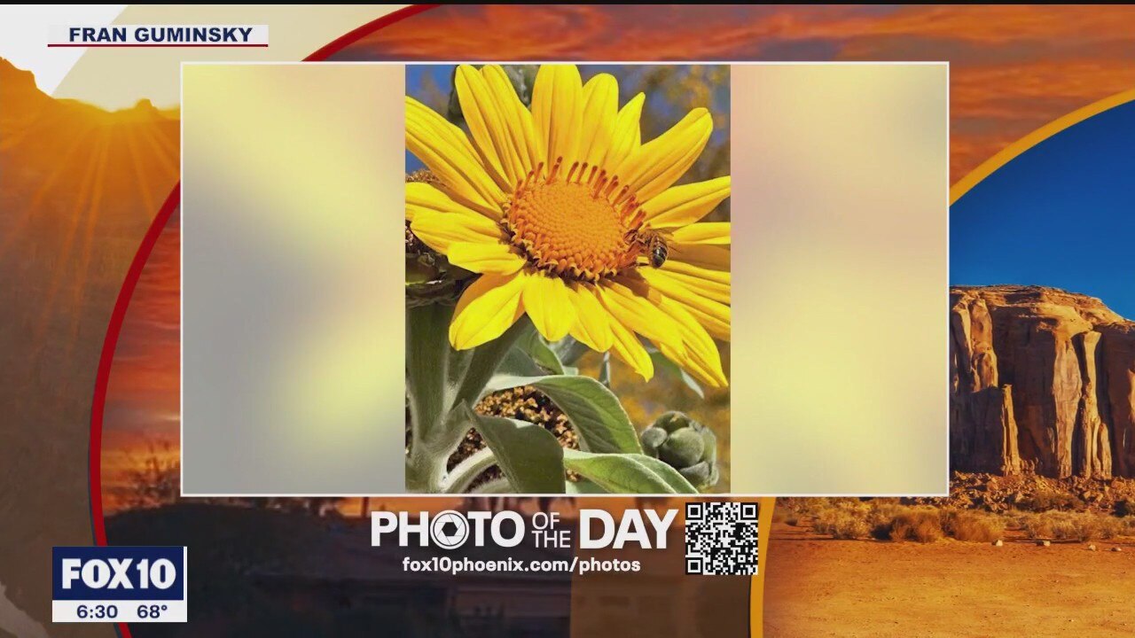 Photo of the Day - May 8