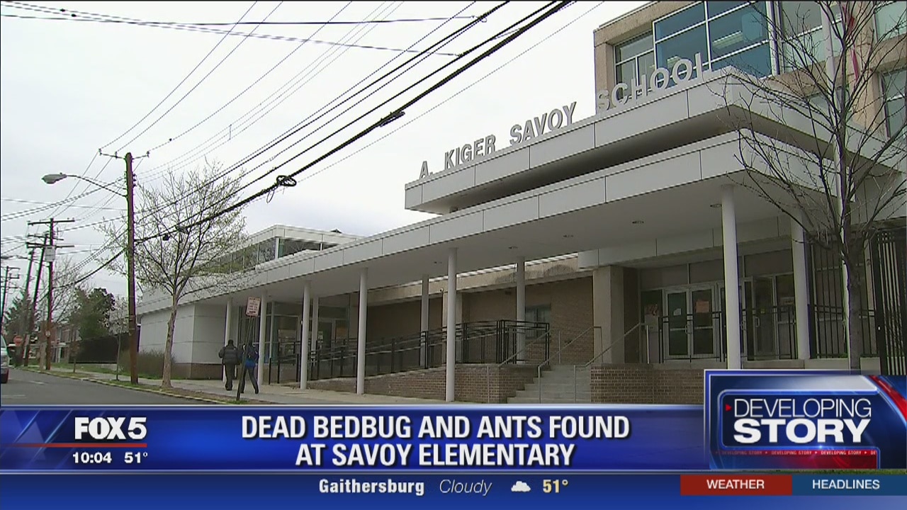 Another case of bed bugs reported at Savoy Elementary School