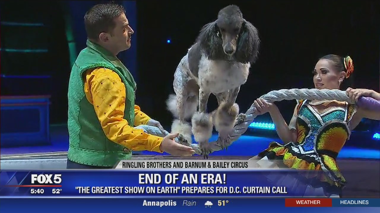 Ringling Bros. and Barnum & Bailey Circus holding final shows in DC area