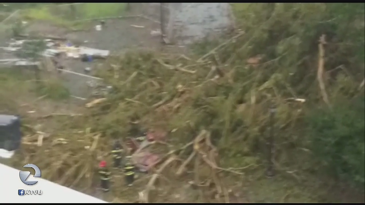 Tree topples on car at U.C. Berkeley killing a person inside