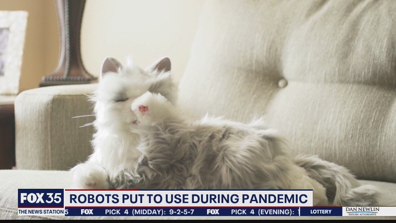 Search for Solutions: Robots put to use during pandemic