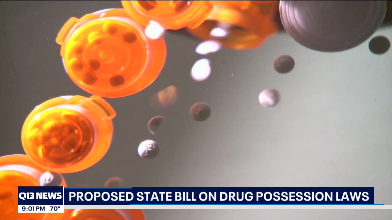 Proposed state bill on drug possession laws