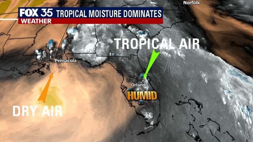 Weather Forecast: June 10, 2020