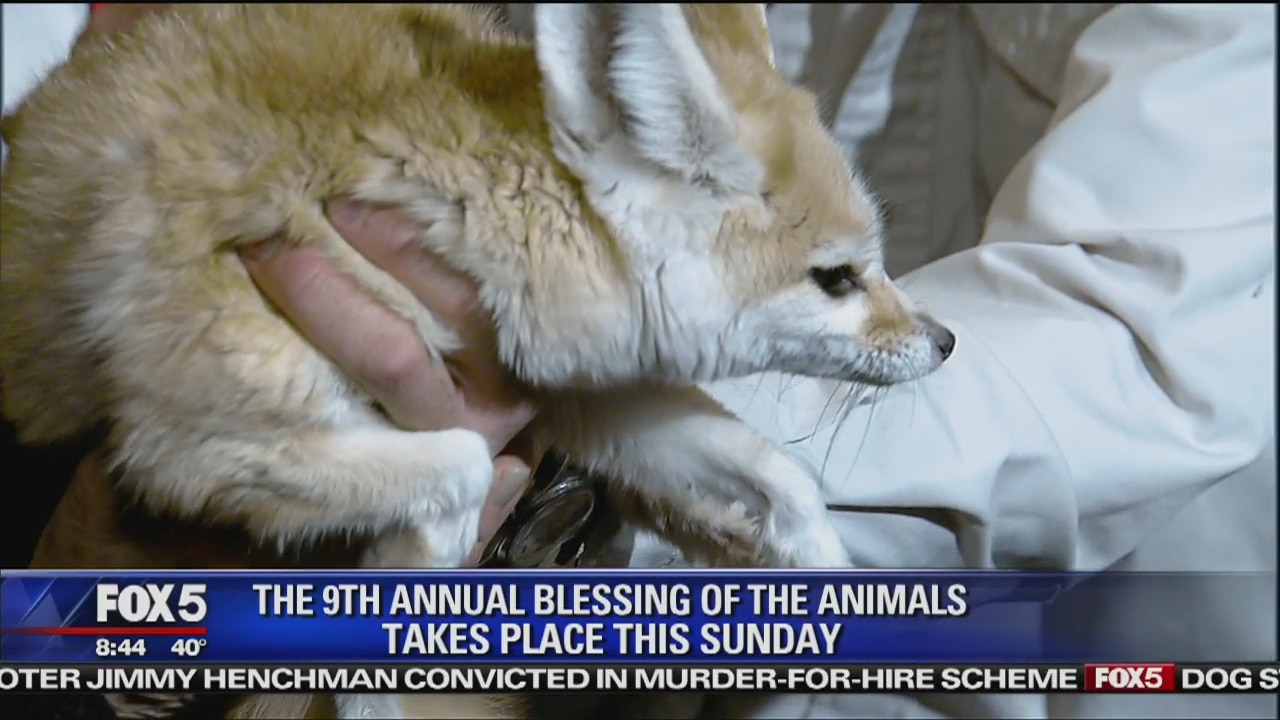 Blessing of the Animals