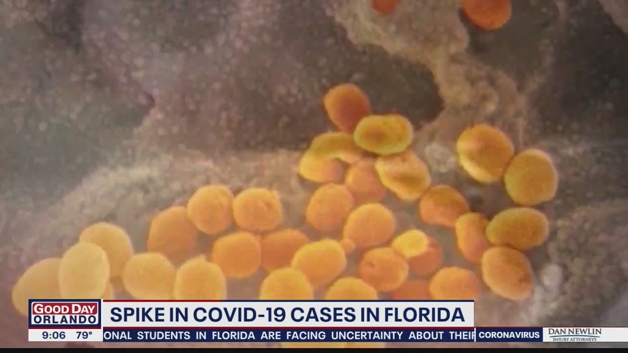 Spike in coronavirus cases in Florida