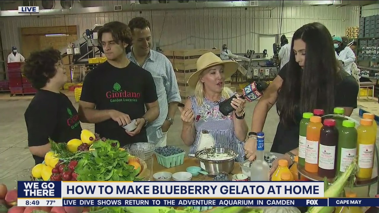 Making blueberry gelato at home