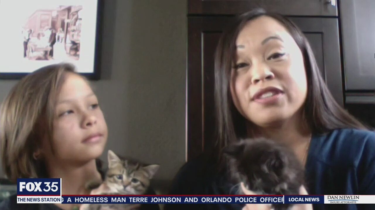 Adopt-a-Pet: Bobby and Millie