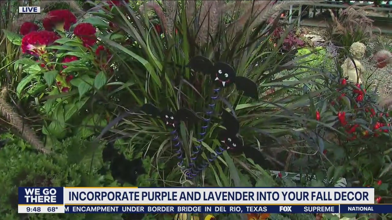 Incorporating purple and lavender into your fall decor
