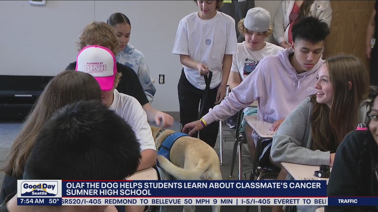 Olaf the dog helps students learn about classmate's cancer