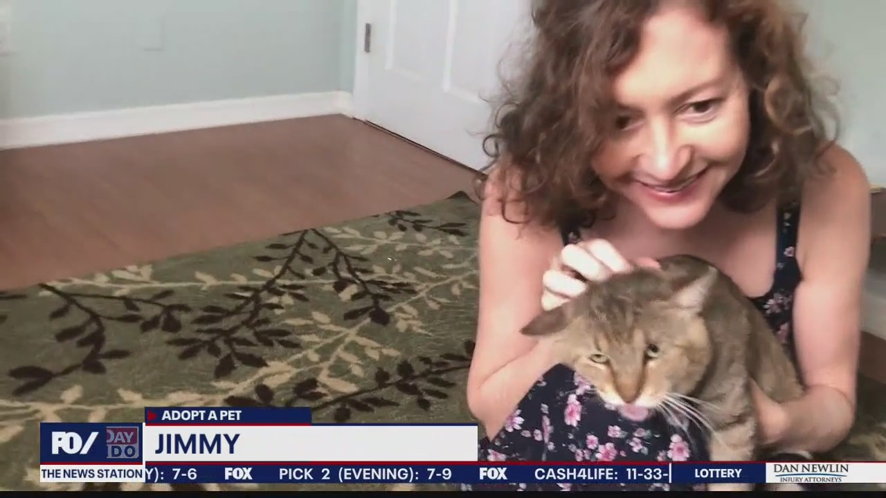 Adopt-a-Pet: Jimmy