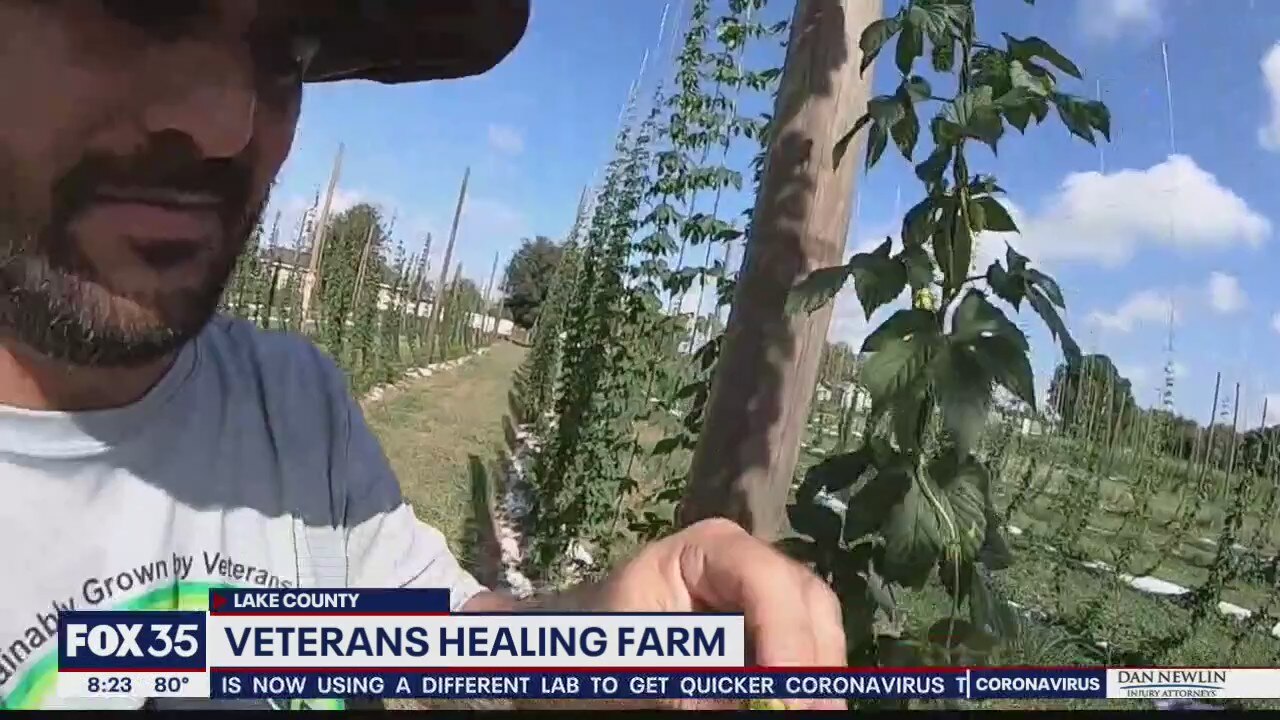 David Does It: Veterans Healing Farm