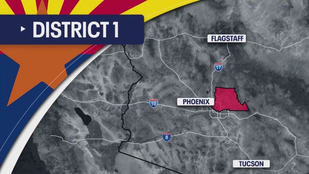 6 Democrats believe they can flip District 1 blue