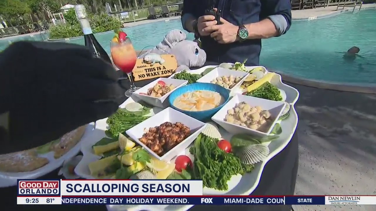 David Does It: Scalloping season