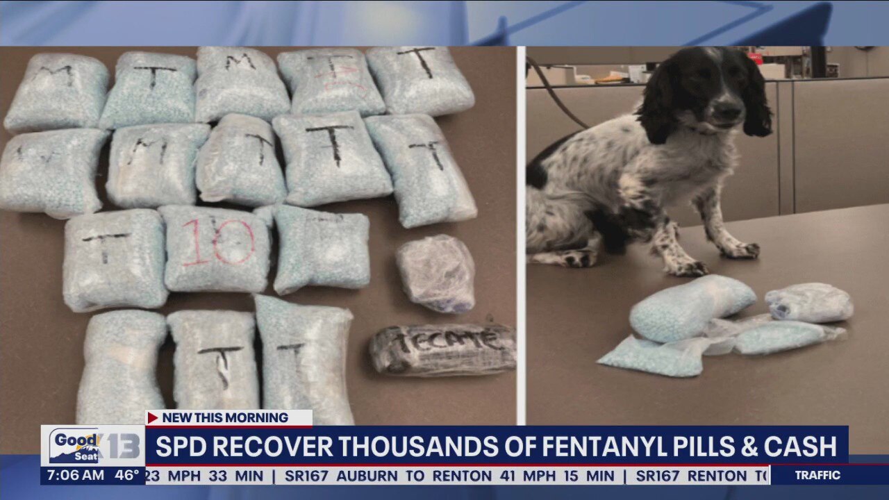 SPD Recovers thousands of fentanyl pills, cash | FOX 13 Seattle