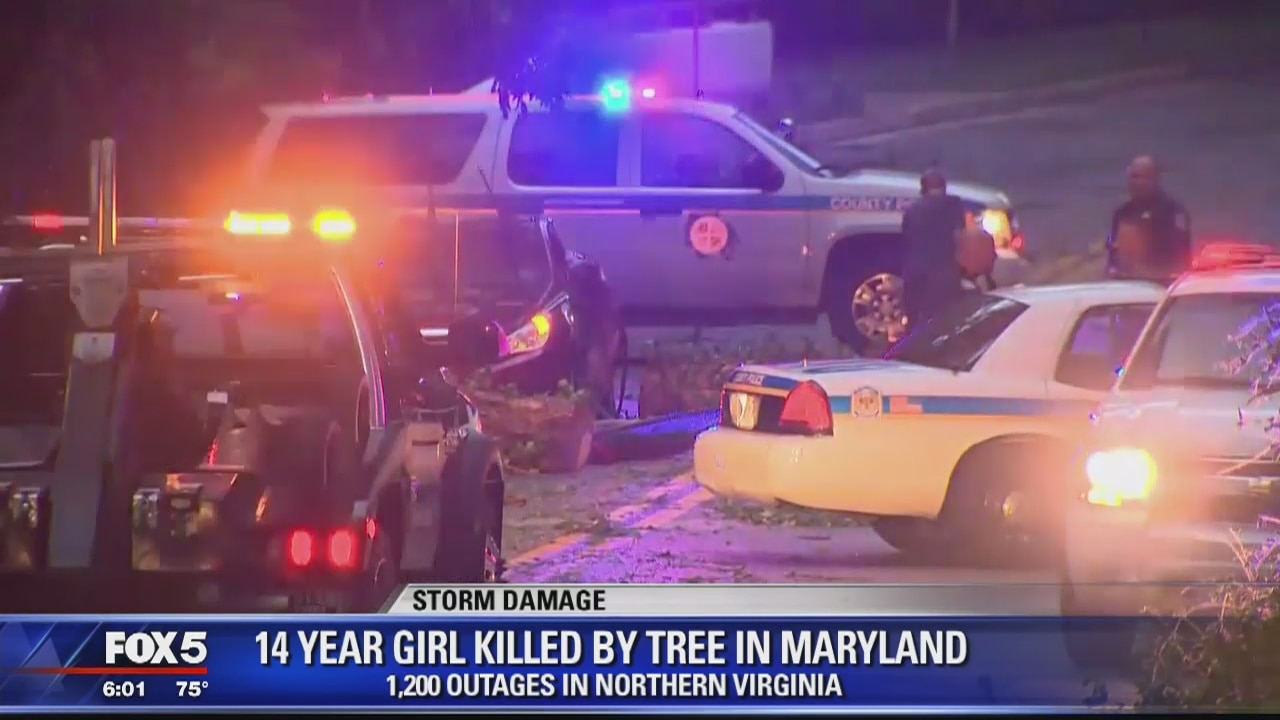 14-year-old girl killed after tree falls on car during storm