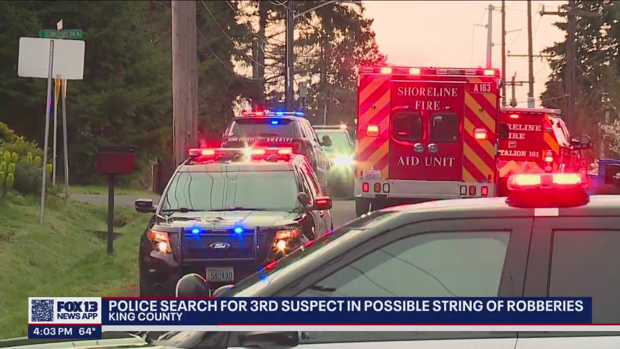 Police search for additional suspect in possible string of armed ...