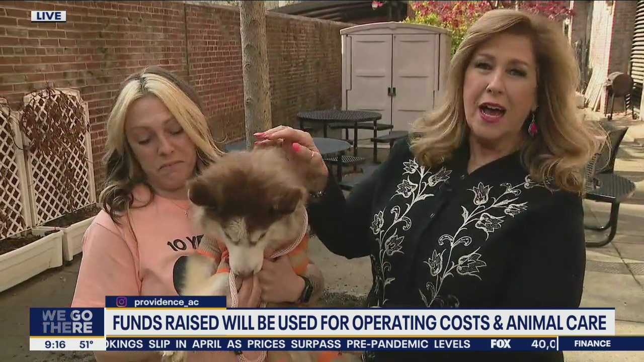 Rescued on the Runway combines fashion, stories and awesome pets