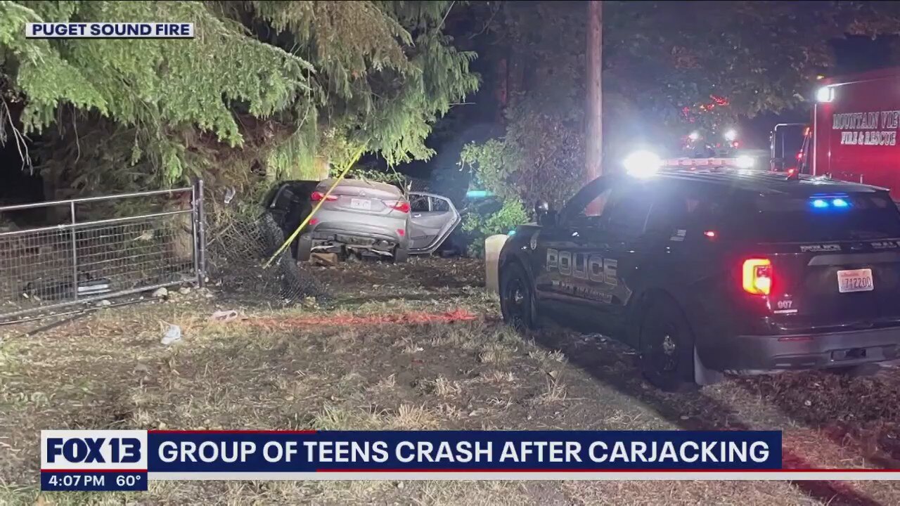 Teens hurt in crash after carjacking