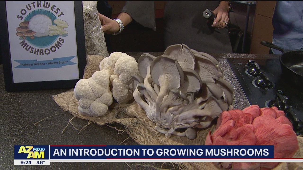 Cooking with mushrooms