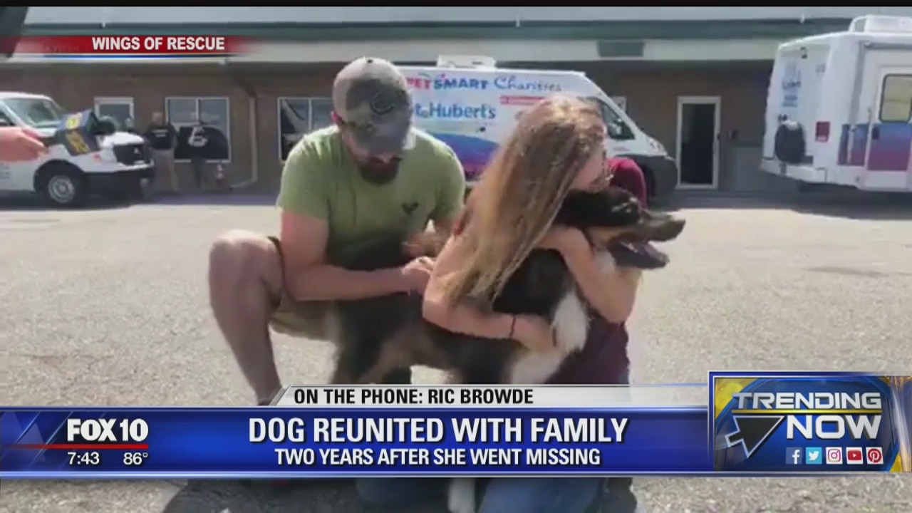 Military couple reunited with dog after two years