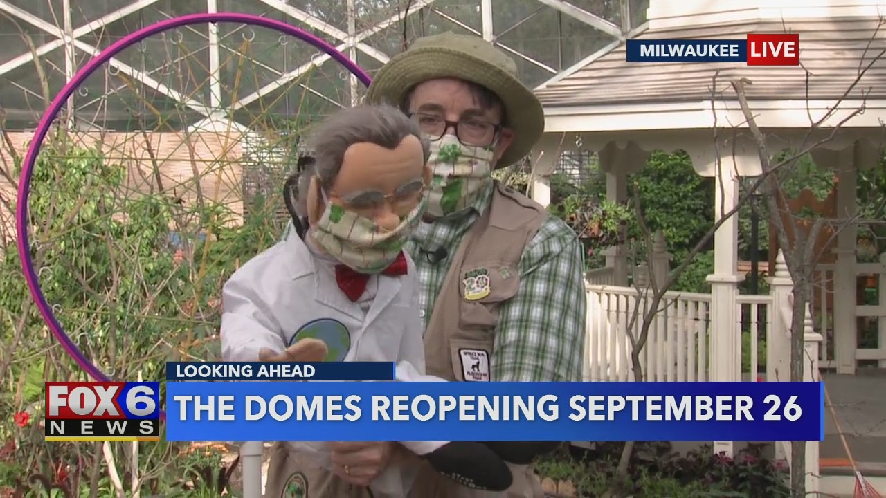 Virtual learning and off-Site workshops with The Domes