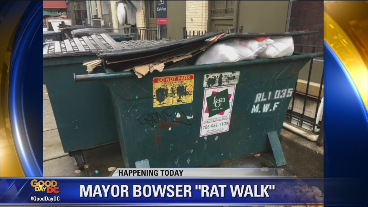 DC leaders aim to keep District's rat population under control