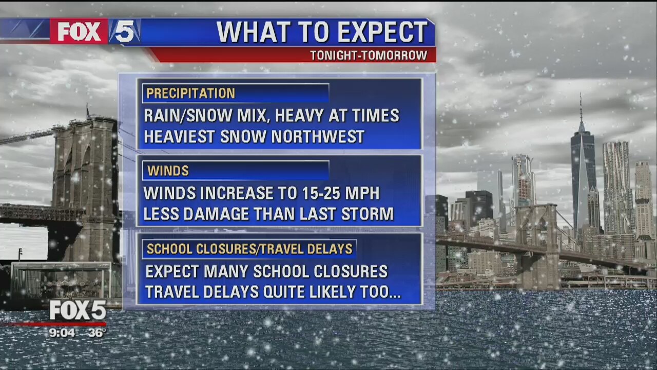 Storm Forecast