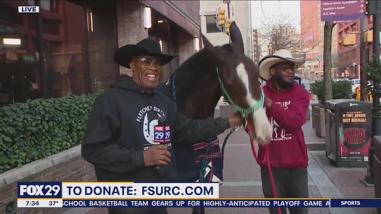 Horse that bolted down I-95 visits Good Day