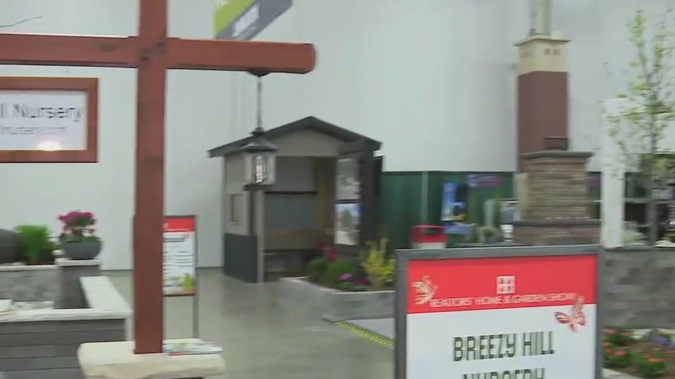 Backyard landscaping project