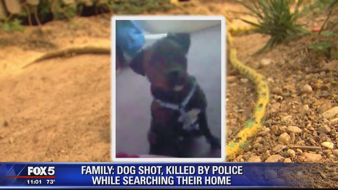 DC family says police fatally shot their pit bull while conducting search at their home