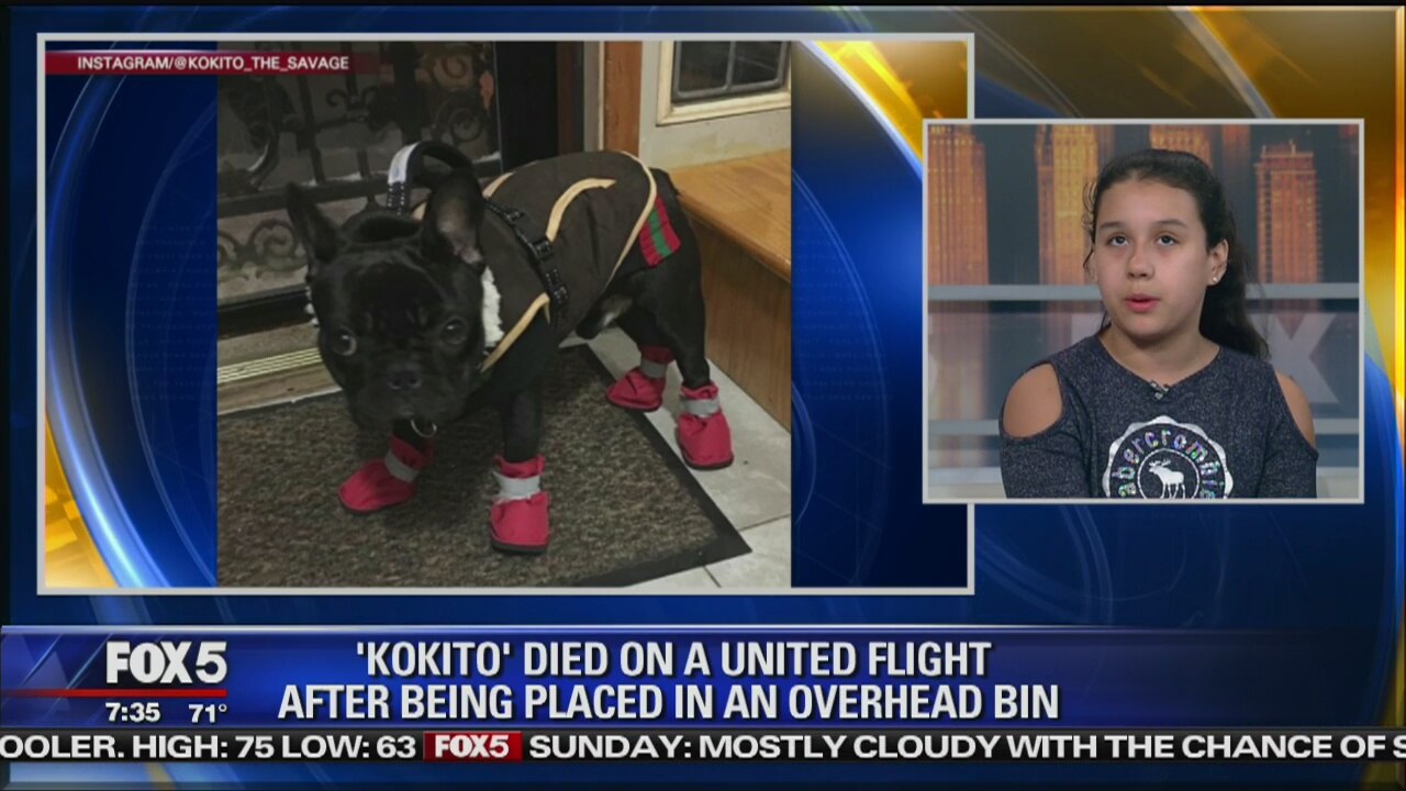 Family Files Suit In Dog Plane Death