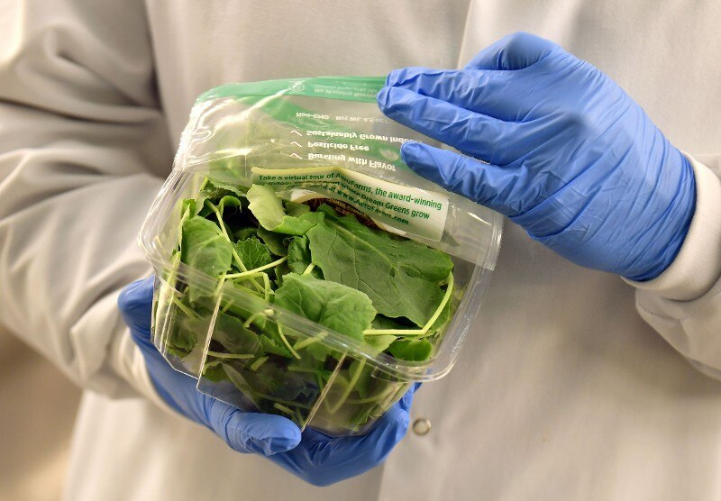 Kale, strawberries, spinach top ?Dirty Dozen? list for pesticide contamination
