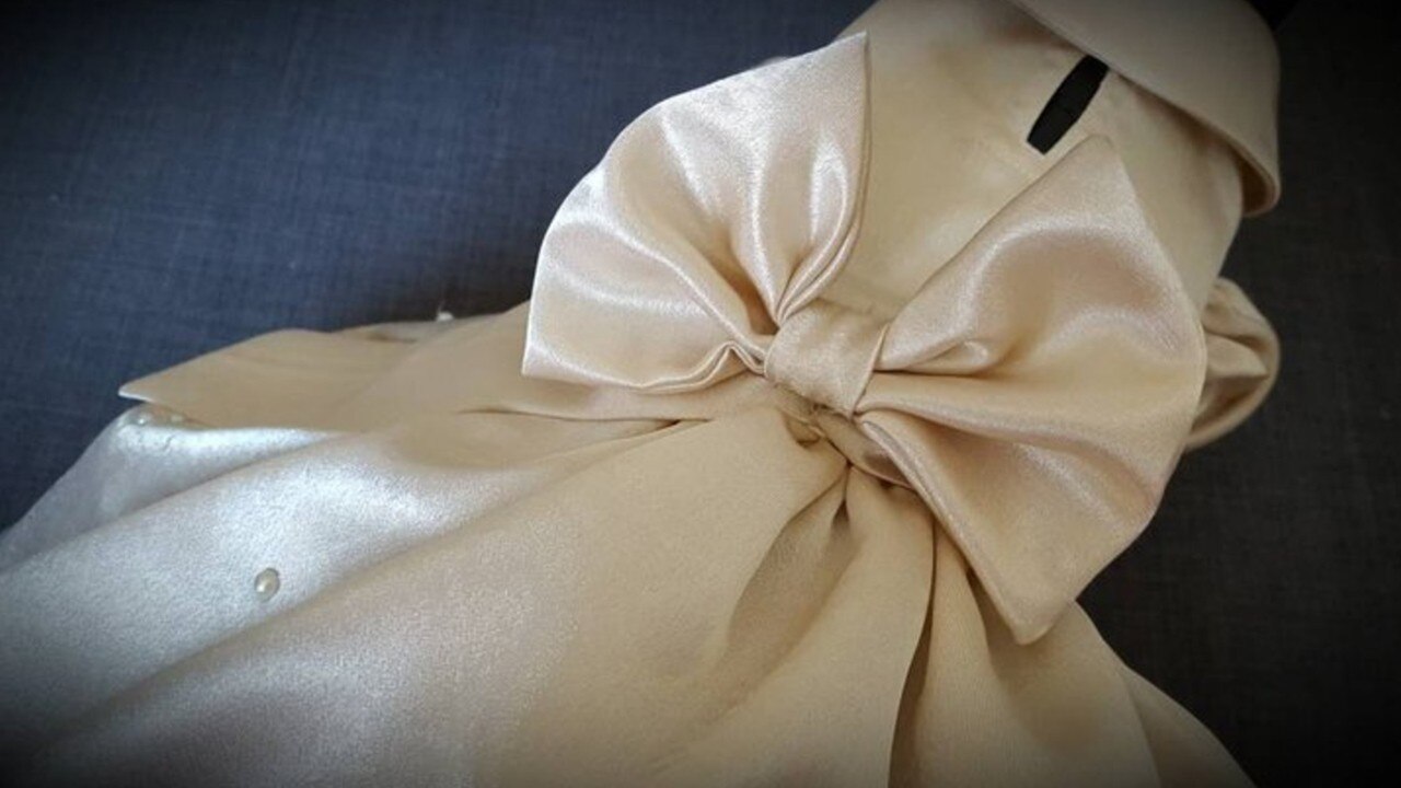 Bridesmaid dresses for dogs exist so you can have the cutest bridal party ever