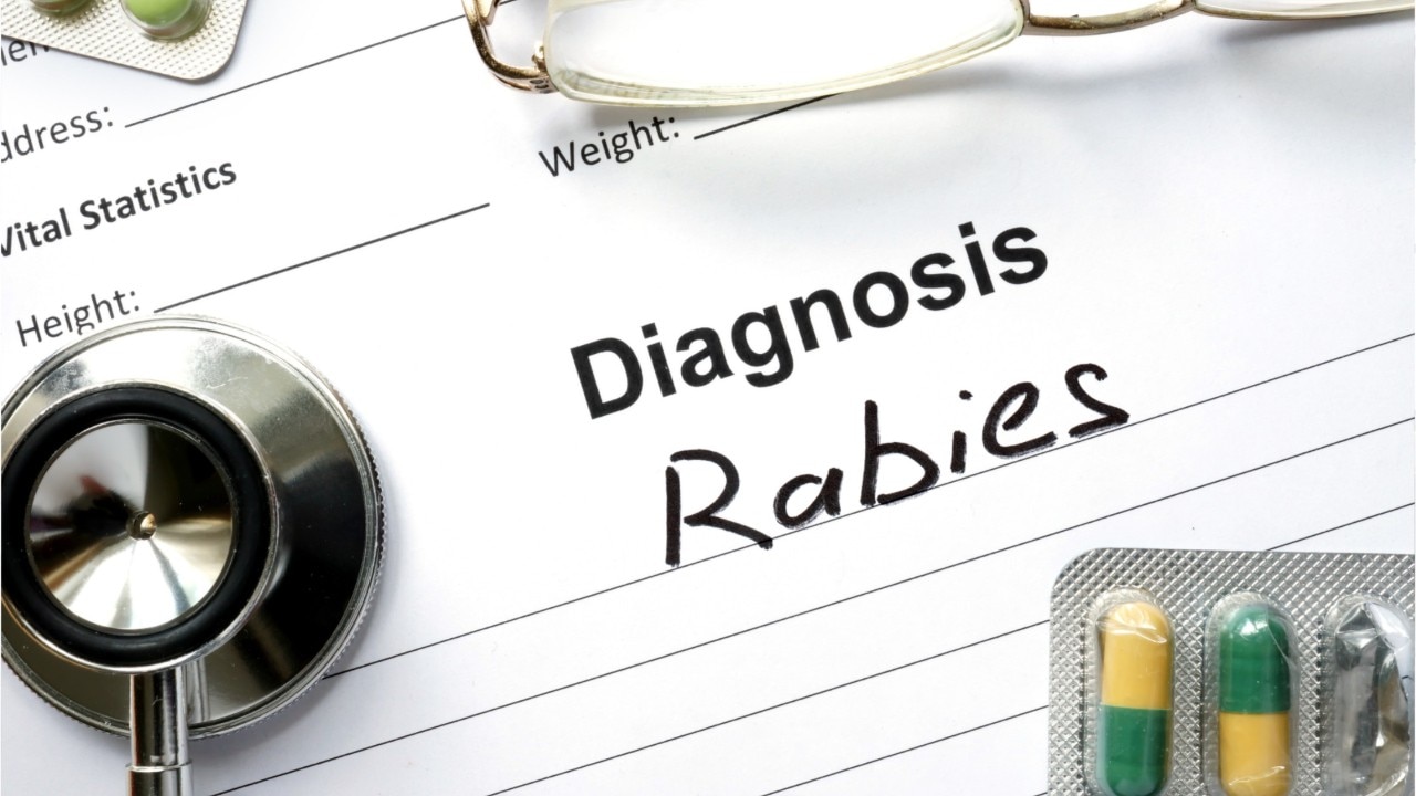 Woman dies from rabies after rescuing puppy