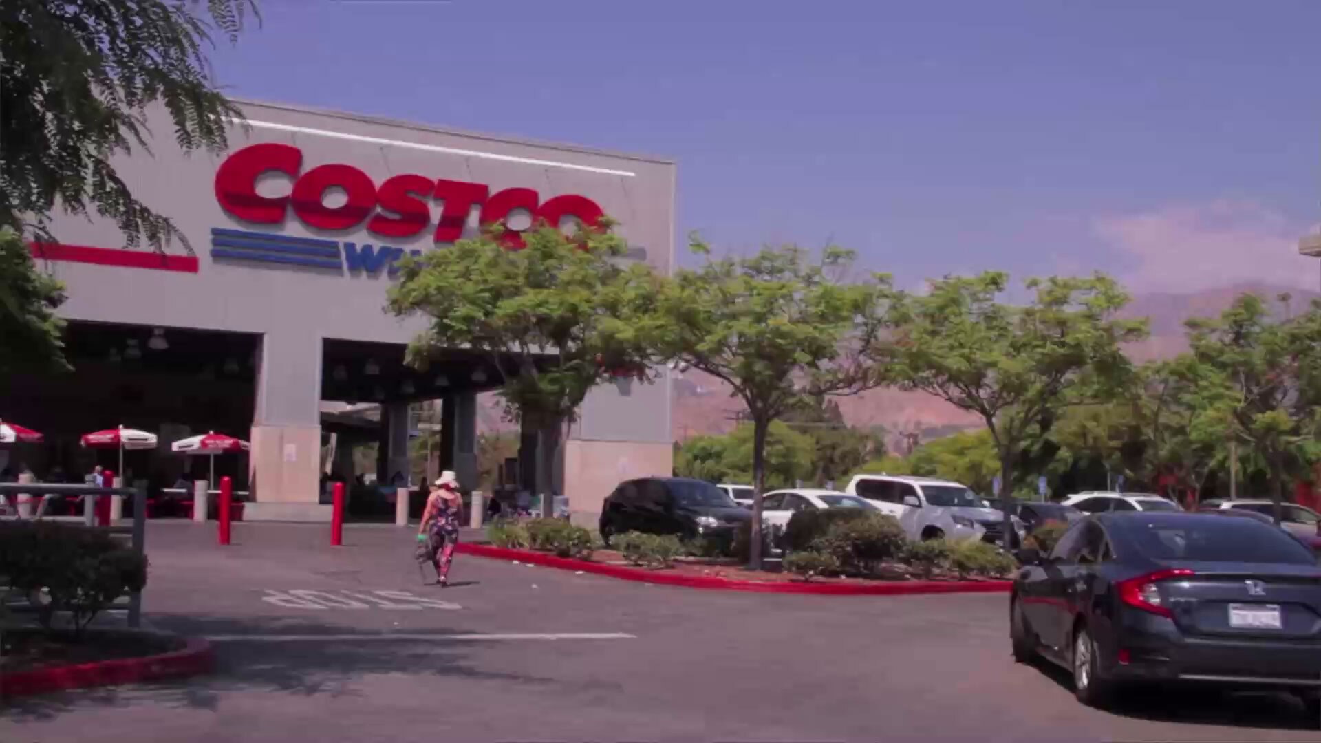 Woman 'likely' attacked and killed by dogs in Costco parking lot