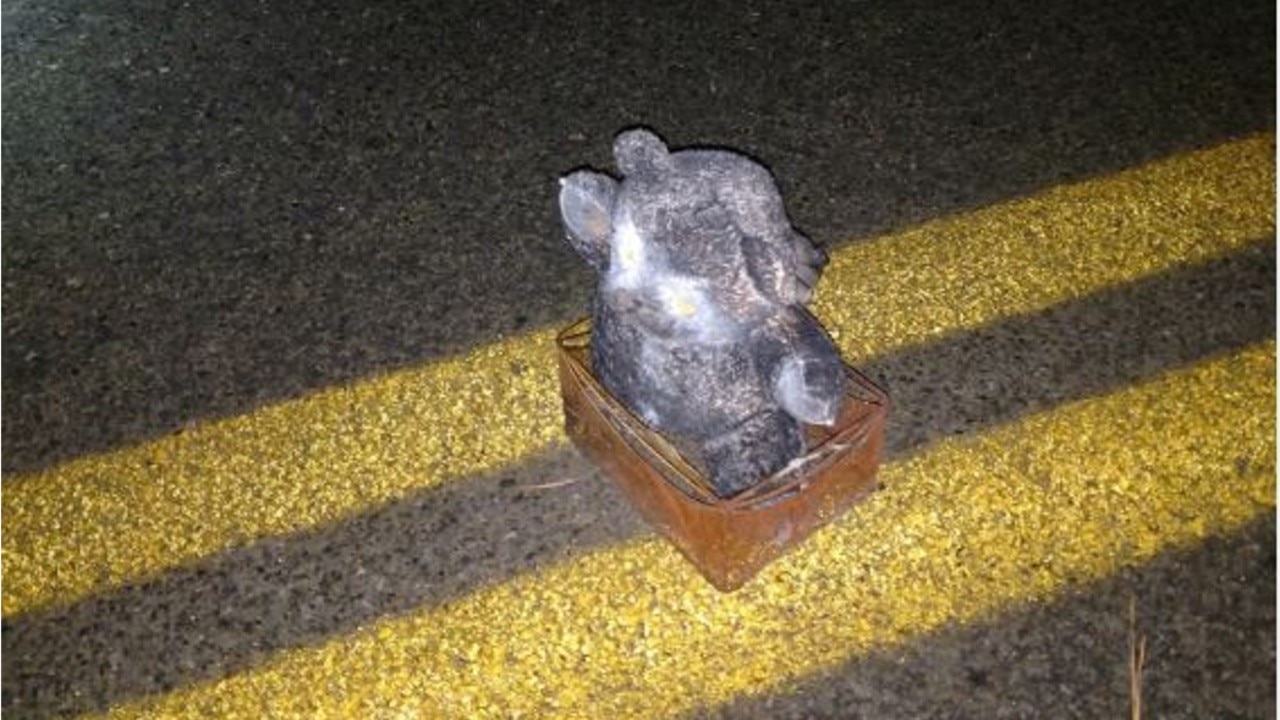 ?Serial bomber? disguised bomb with teddy bear left in basket in middle of road, FBI says
