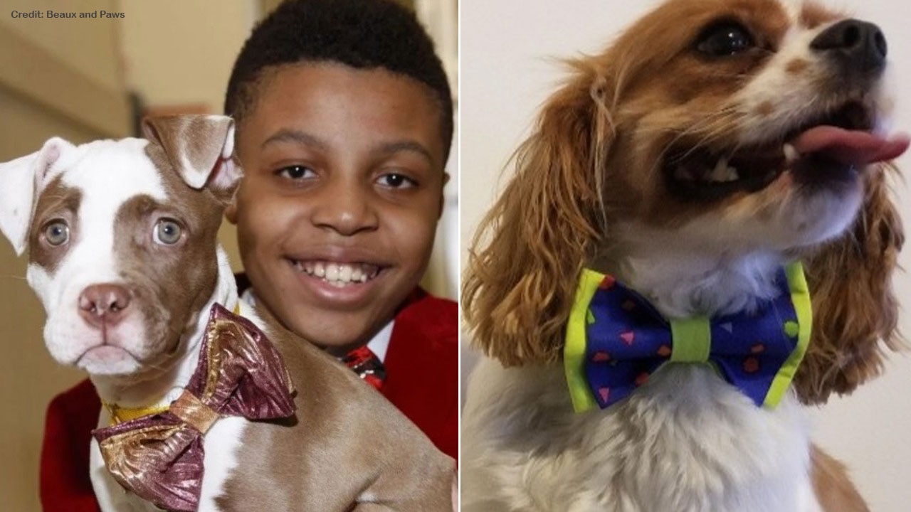 Boy creates stylish bow ties to help shelter animals find forever homes