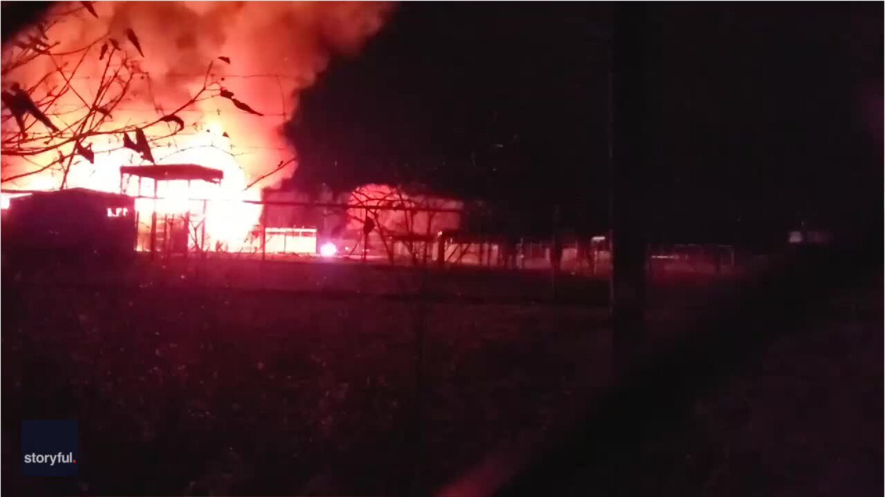 Giraffes run from flames as barn burns at Ohio wildlife park