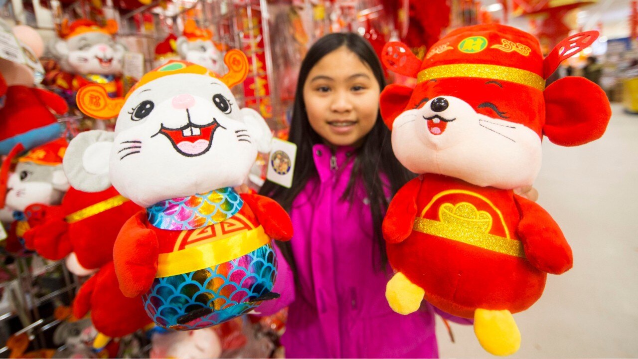 What is Chinese New Year?