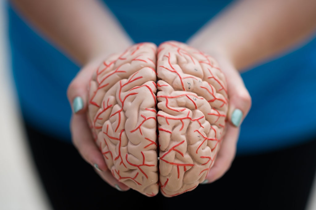 NIH study reveals why humans remember some words better than others