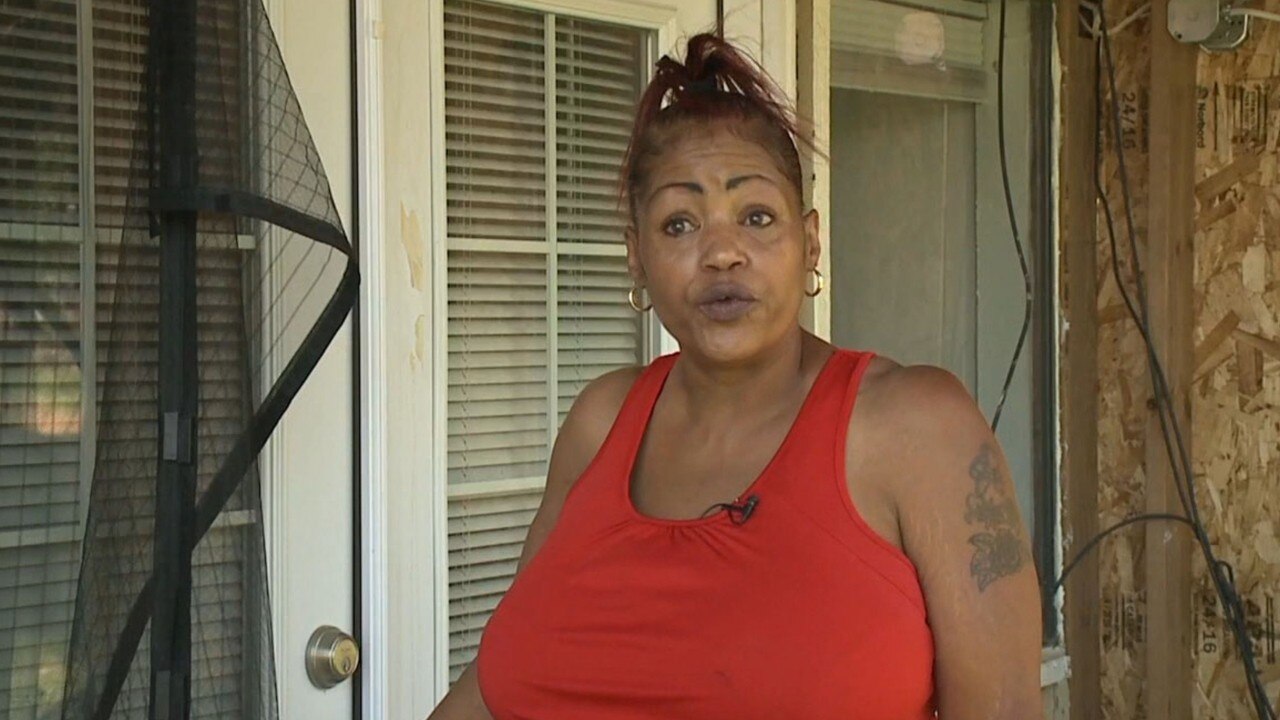 Colorado woman finds at least 25 snakes in her apartment after renovations